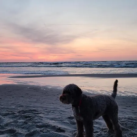 Posesja Kapitanska C23, 100m Do Wejscia Na Plaze Apartmán *